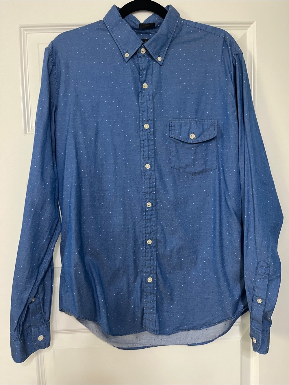 J. Crew Men's Blue Micro-Dot Button-Down Shirt